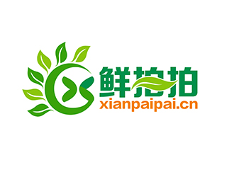 潘樂的鮮拍拍生鮮網(wǎng)購(gòu)平臺(tái)標(biāo)志logo設(shè)計(jì)